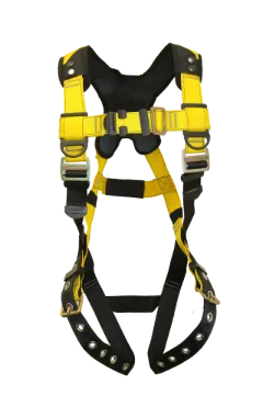 GFP 37106_image 01_1102.jpg