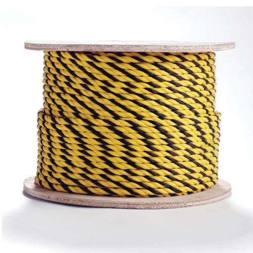 Erin_Rope_TWPYYB081200.jpg