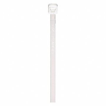 FST NT8C-WH_1102.jpg