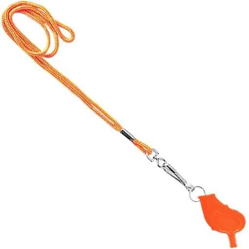 GEC WINDSTORMORLN_1102.jpeg