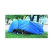 Anchor_2020_TARP.jpg