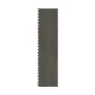 M_K_Morse_001175.jpg