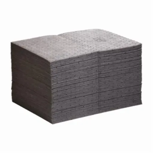 PIG_MAT203.jpg