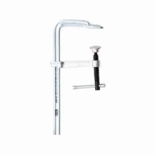 Bessey_MMS_12.jpg
