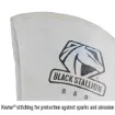 Black_Stallion_850M_1.jpg